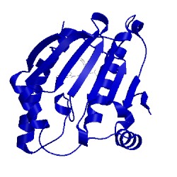 Image of CATH 5t21