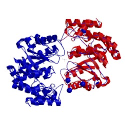 Image of CATH 5t25