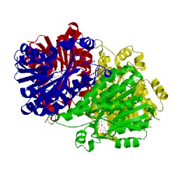 Image of CATH 5t2u