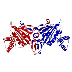 Image of CATH 5t40