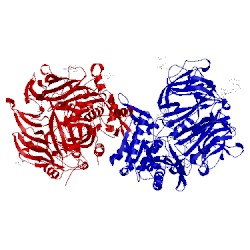 Image of CATH 5t4f