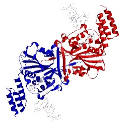 Image of CATH 5t4i