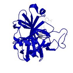 Image of CATH 5t71