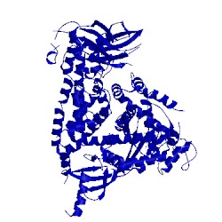 Image of CATH 5t8i