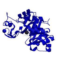 Image of CATH 5t91