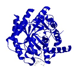 Image of CATH 5tbo