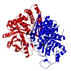 Image of CATH 5td9