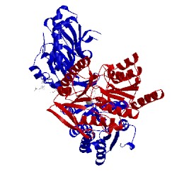 Image of CATH 5tdm