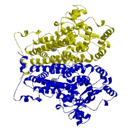 Image of CATH 5tdv