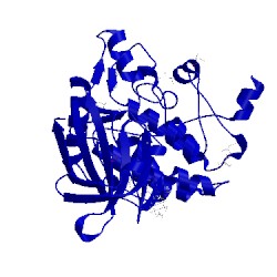 Image of CATH 5te0