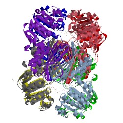 Image of CATH 5ten