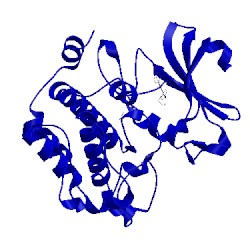 Image of CATH 5tex