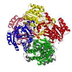 Image of CATH 5tf4