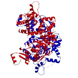 Image of CATH 5tgt