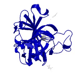 Image of CATH 5thn