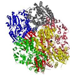 Image of CATH 5tjh
