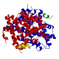 Image of CATH 5tlf