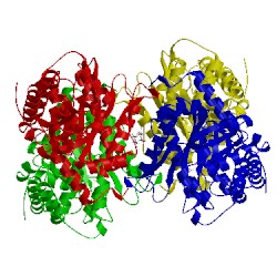 Image of CATH 5tlw