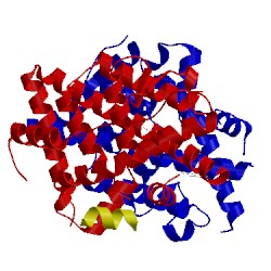 Image of CATH 5tm1