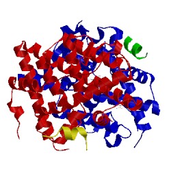 Image of CATH 5tm3