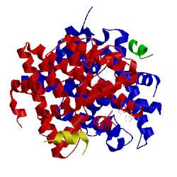 Image of CATH 5tml