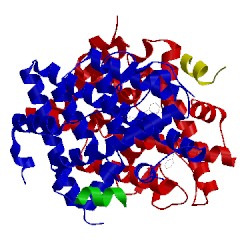 Image of CATH 5tmt