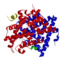 Image of CATH 5tmu