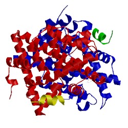 Image of CATH 5tn3