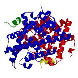 Image of CATH 5tn5