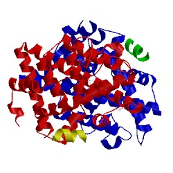 Image of CATH 5tn7