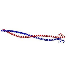 Image of CATH 5to5