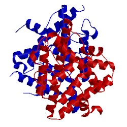 Image of CATH 5toa
