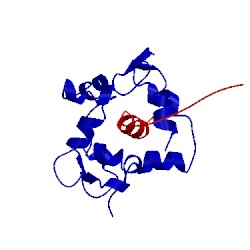 Image of CATH 5tp6