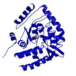 Image of CATH 5tpg