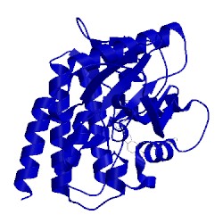 Image of CATH 5tq8