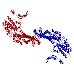 Image of CATH 5tqw