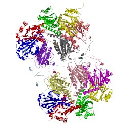 Image of CATH 5trg