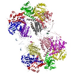 Image of CATH 5trr