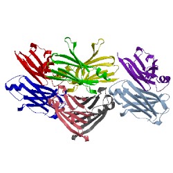 Image of CATH 5ttr