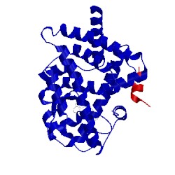 Image of CATH 5two