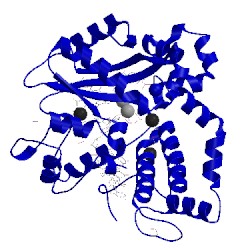 Image of CATH 5twr