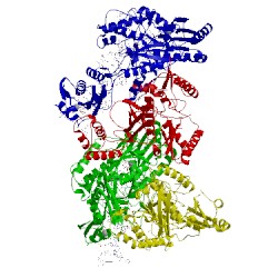 Image of CATH 5txp