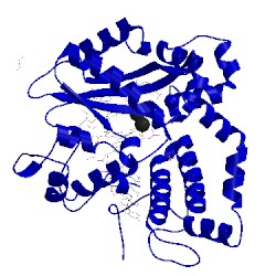 Image of CATH 5txx