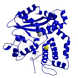 Image of CATH 5tyb