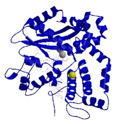 Image of CATH 5tyc