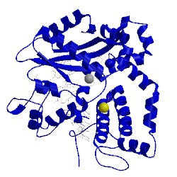 Image of CATH 5tyf