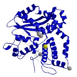 Image of CATH 5tyw
