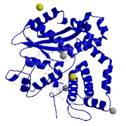 Image of CATH 5tyz