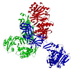 Image of CATH 5tz8