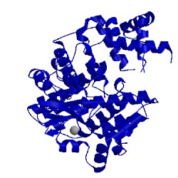 Image of CATH 5u04